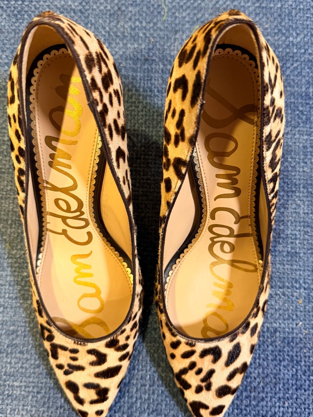 Sam Edelman Leopard-Print Pointed Toe Pumps - Brown/Black